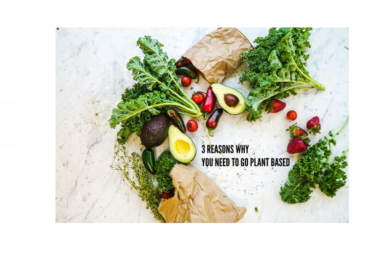3 Reasons Why You Should Go Plant Based Image
